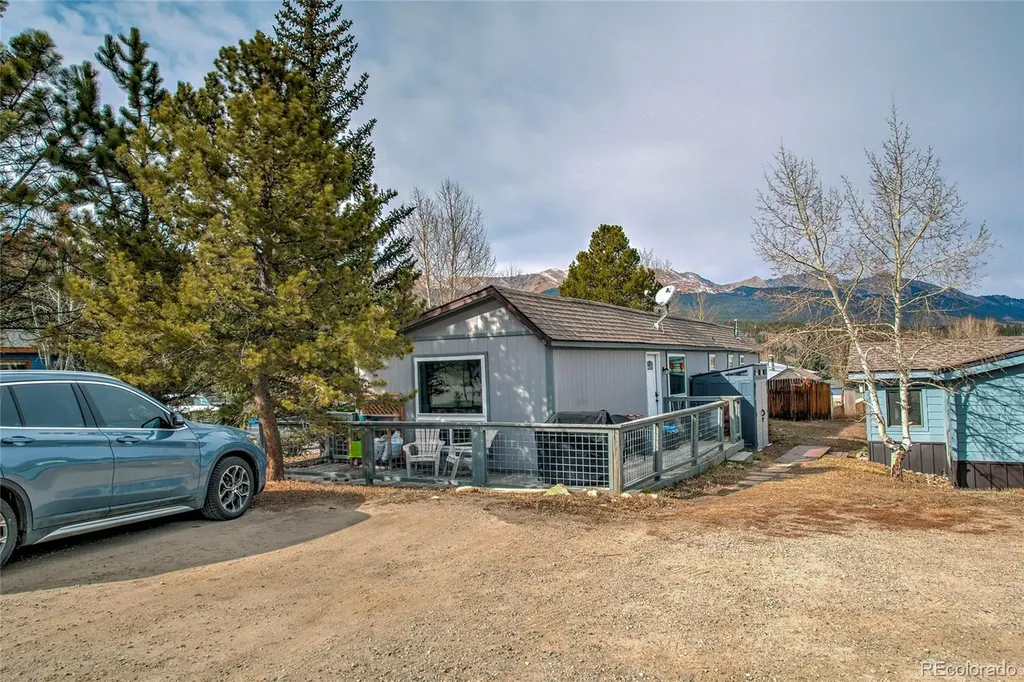 56 Magnum Bonum Drive Breckenridge CO 80424