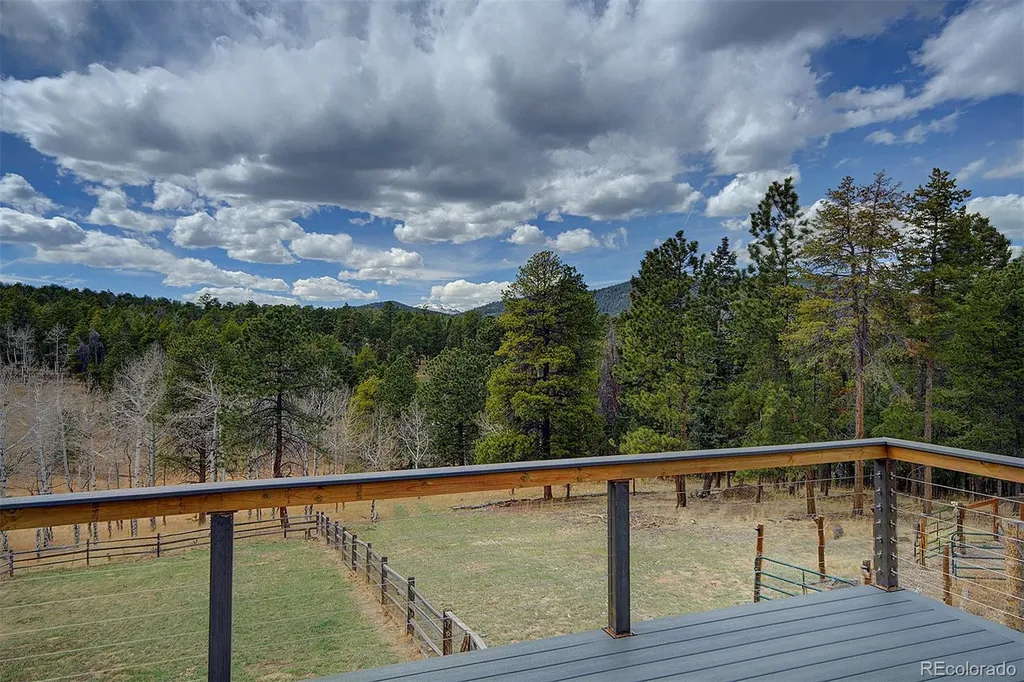 27987 Richmond Hill Road Conifer CO 80433
