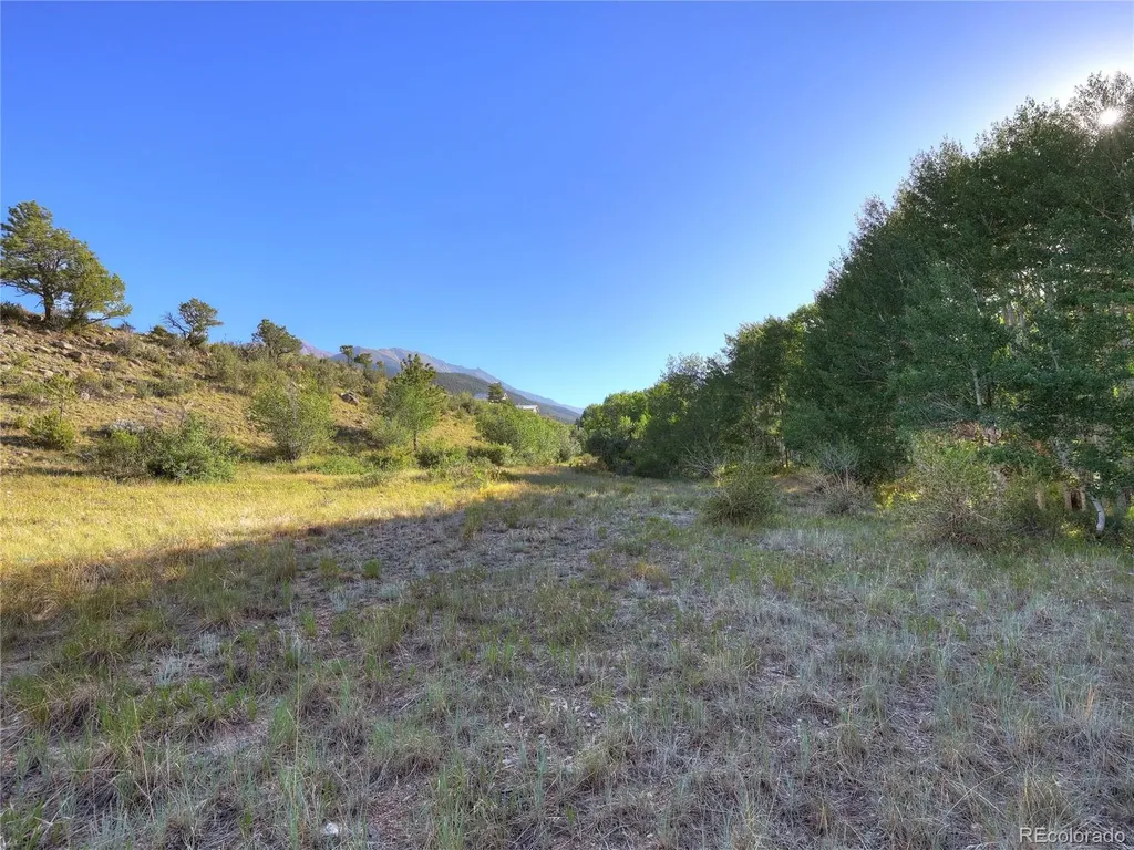 17550 Primrose Lane Buena Vista CO 81211