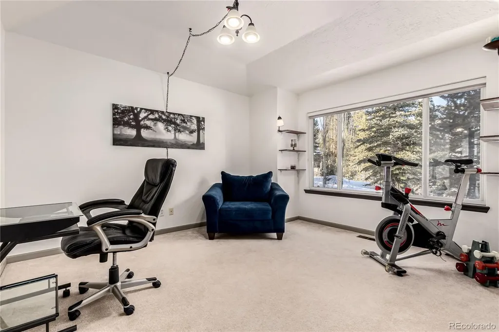 308 Red Hawk Circle Silverthorne CO 80498