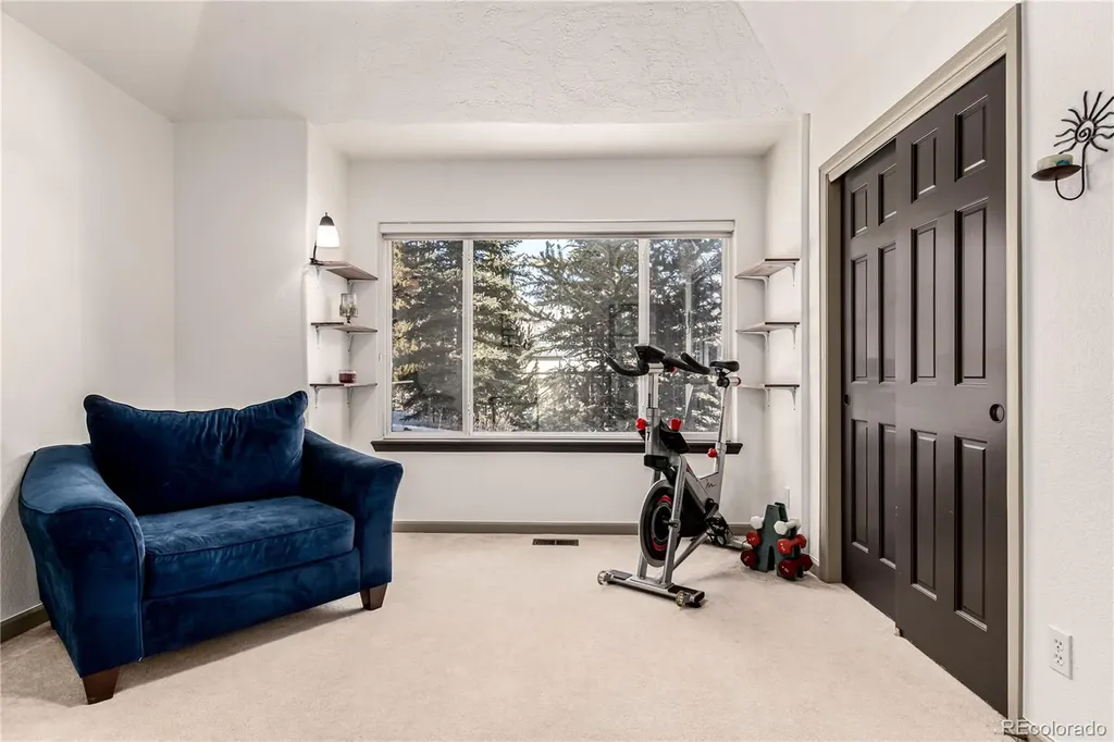 308 Red Hawk Circle Silverthorne CO 80498