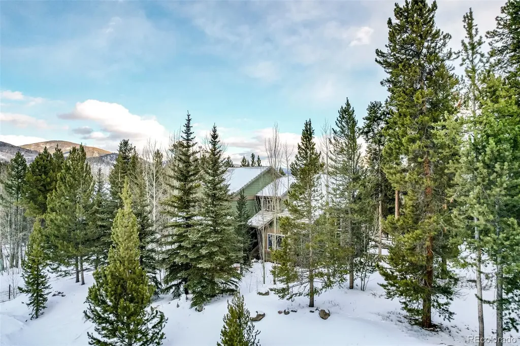 308 Red Hawk Circle Silverthorne CO 80498