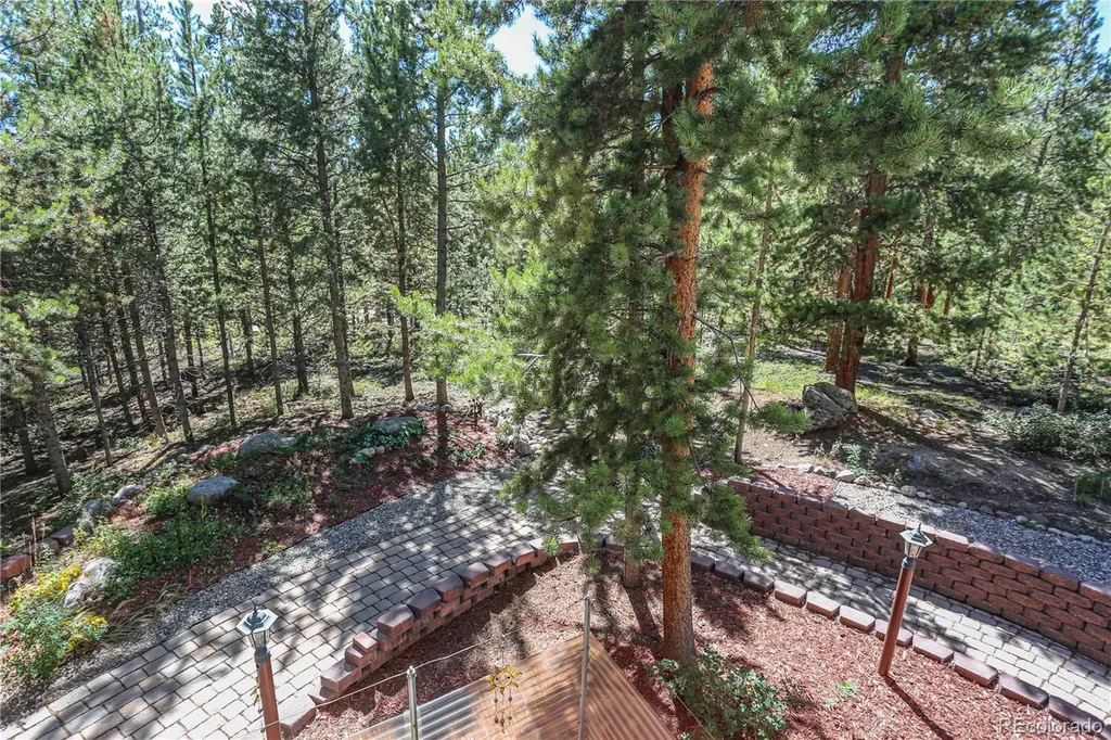 308 Red Hawk Circle Silverthorne CO 80498
