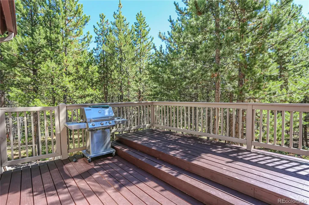 308 Red Hawk Circle Silverthorne CO 80498