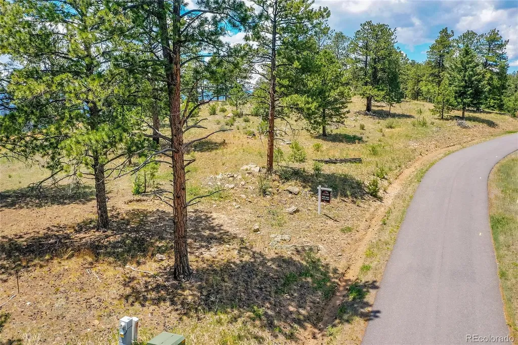 33550 Mount Wilson Trail Pine CO 80470