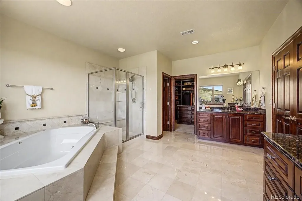 10492 Rivington Court Lone Tree CO 80124