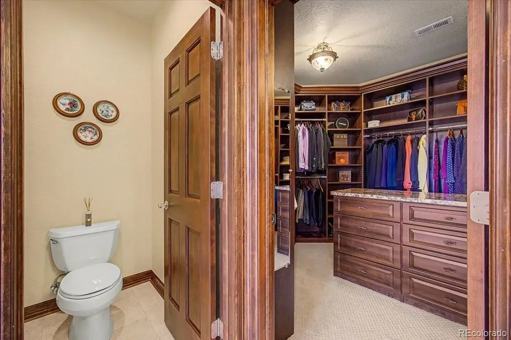 10492 Rivington Court Lone Tree CO 80124