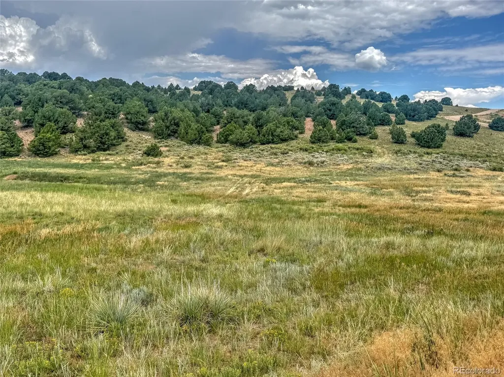 Tbd Lot 21 Kiowa Road Westcliffe CO 81252