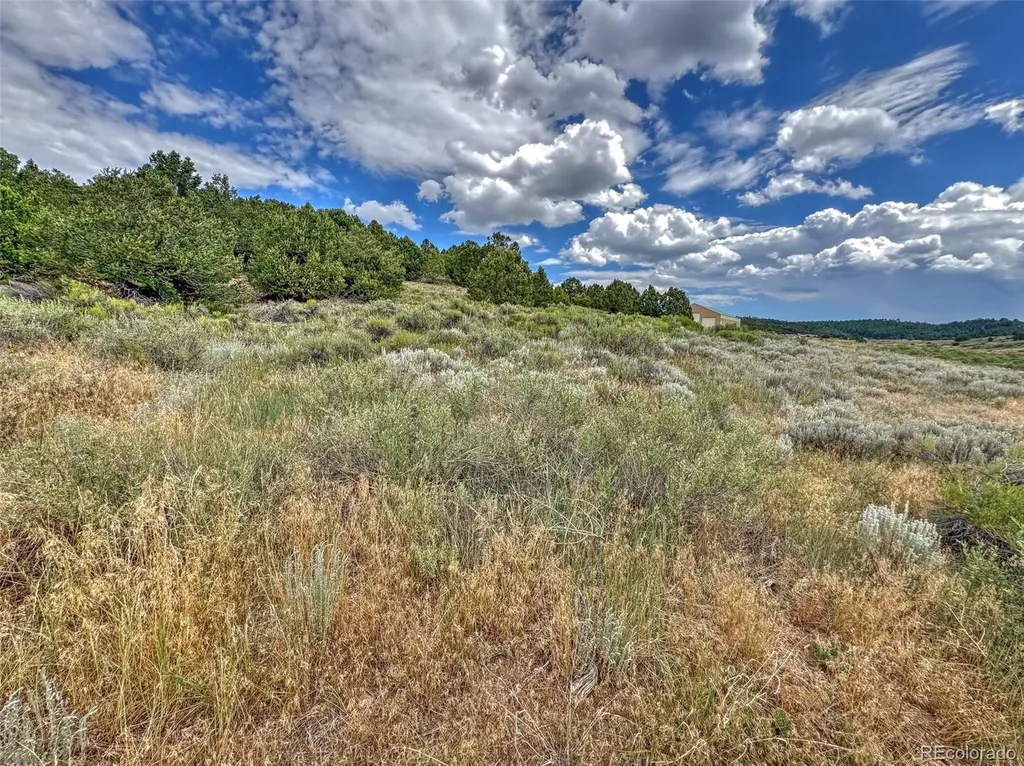 Tbd Lot 21 Kiowa Road Westcliffe CO 81252