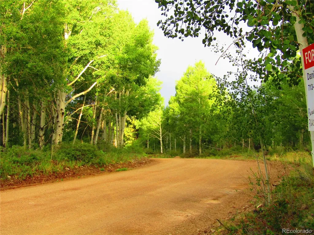 Lot 6393 Stella Road San Luis CO 81152