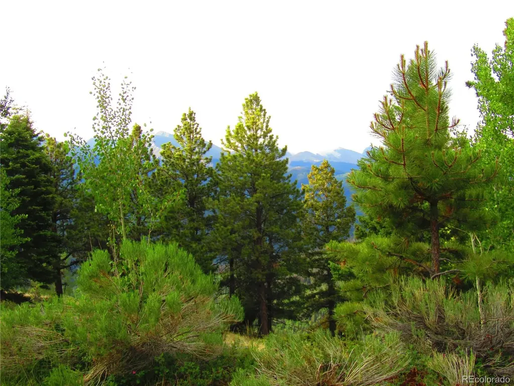 Lot 6393 Stella Road San Luis CO 81152