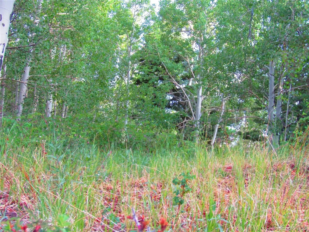 Lot 6393 Stella Road San Luis CO 81152