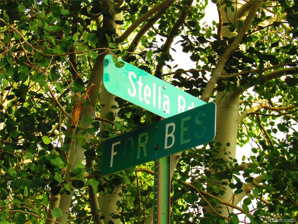 Lot 6393 Stella Road San Luis CO 81152