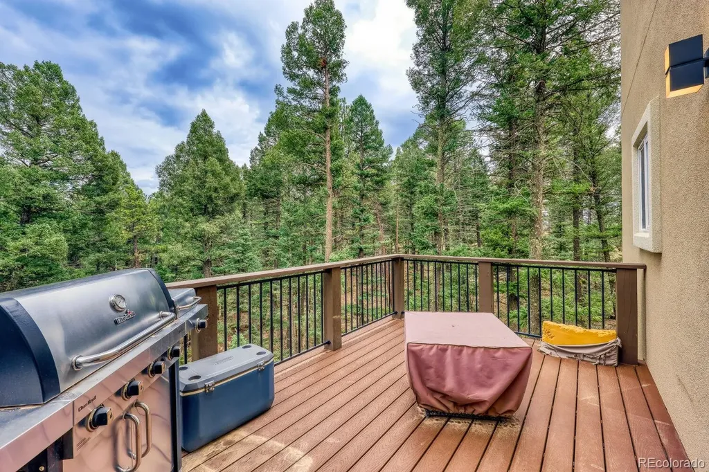 1897 N Mountain Estates Road Florissant CO 80816