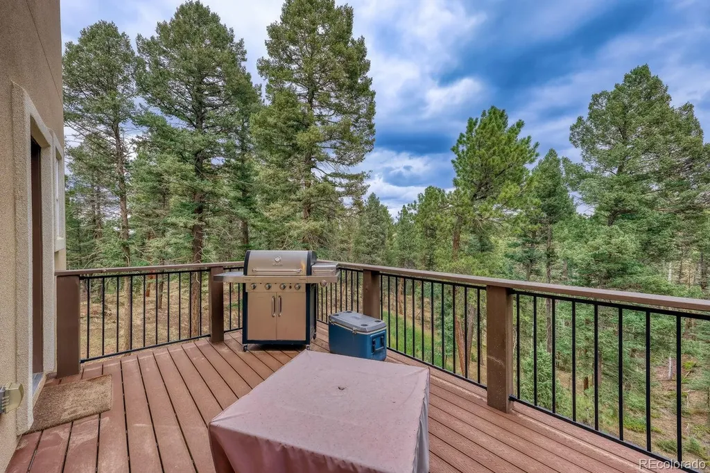 1897 N Mountain Estates Road Florissant CO 80816