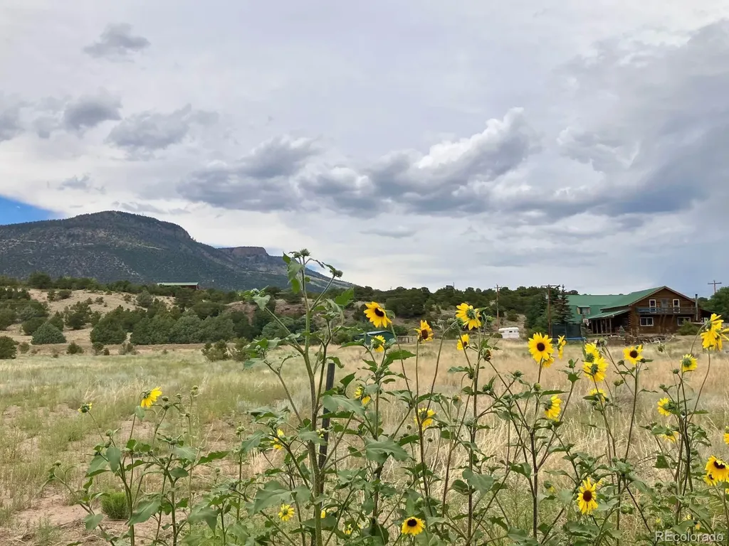 100 Mica Road South Fork CO 81154