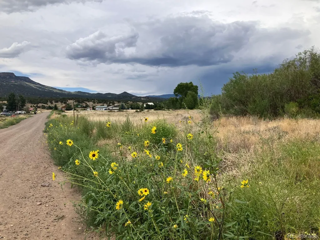 100 Mica Road South Fork CO 81154