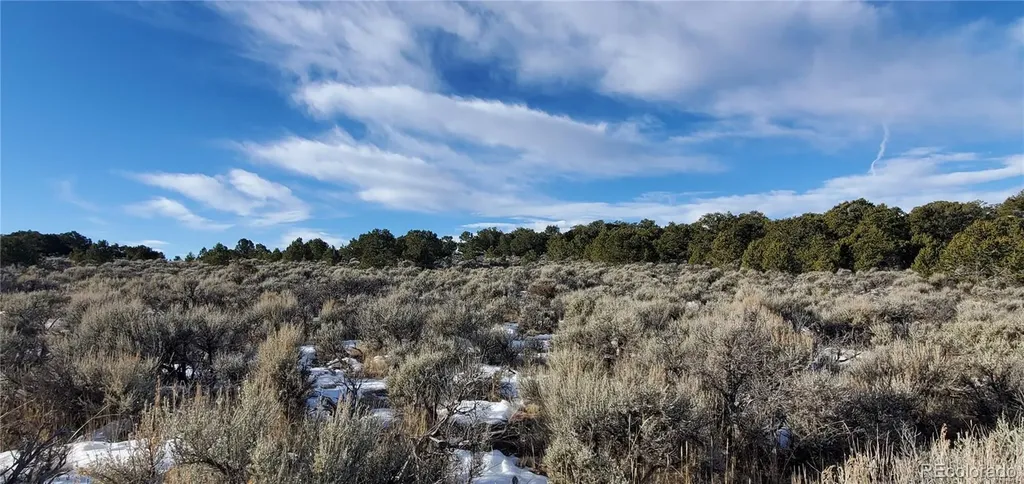 Lot 7265 Tiernan Road Fort Garland CO 81133