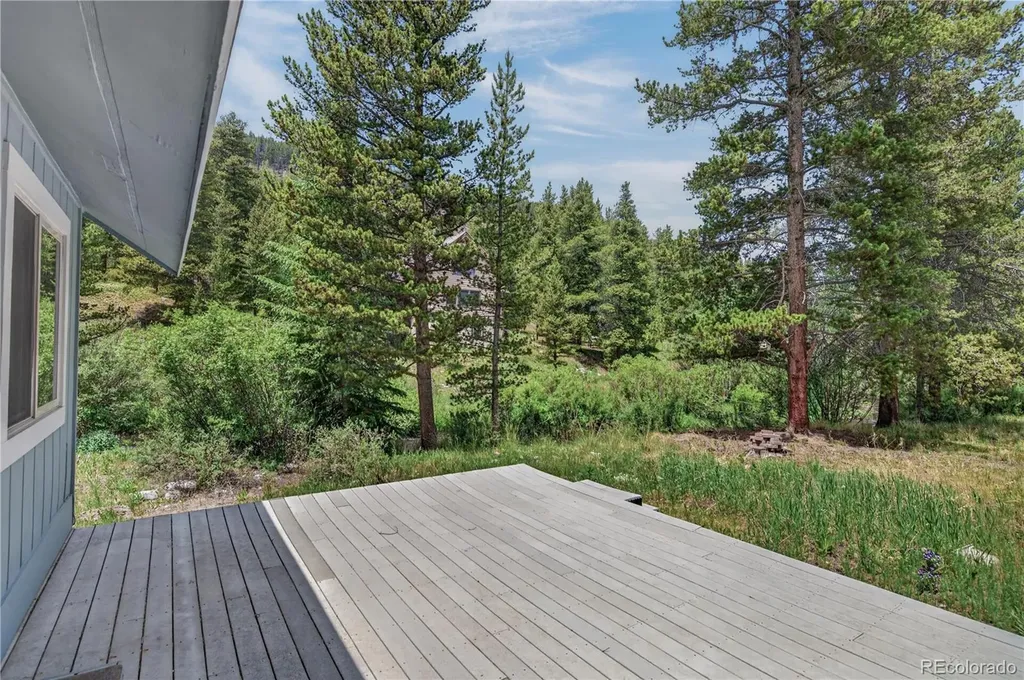 214 Mountain View Trail Breckenridge CO 80424