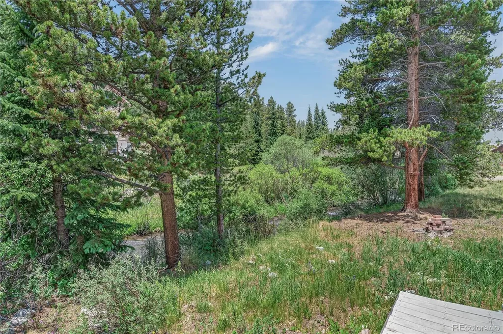 214 Mountain View Trail Breckenridge CO 80424