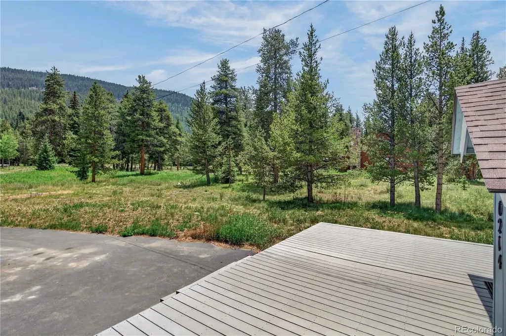 214 Mountain View Trail Breckenridge CO 80424