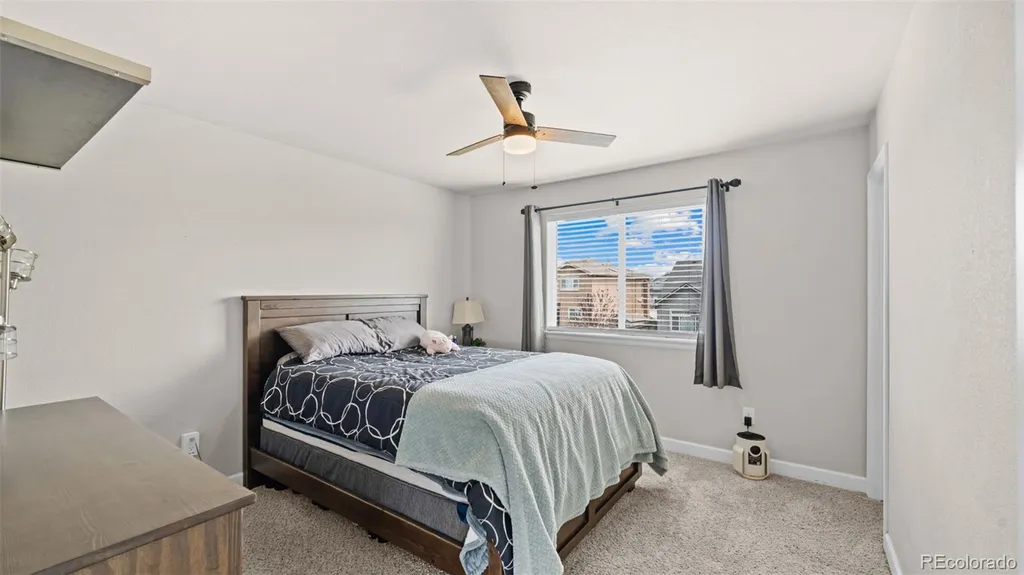 7643 Peachleaf Drive Colorado Springs CO 80925