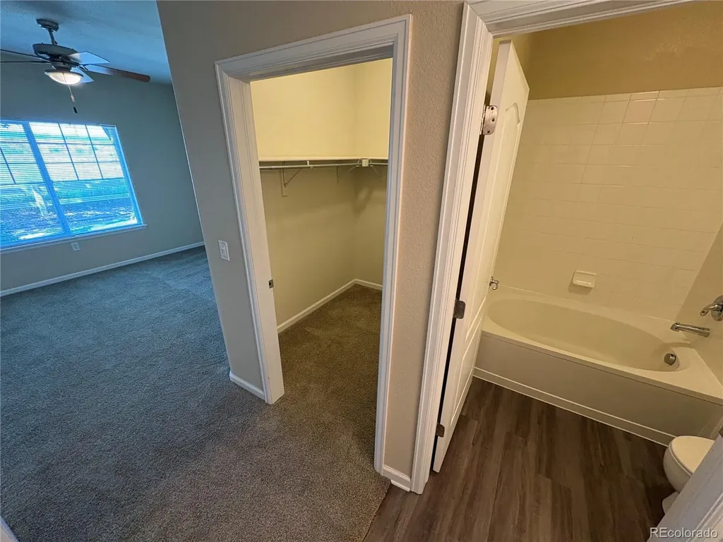 4645 Hahns Peak Drive Loveland CO 80538