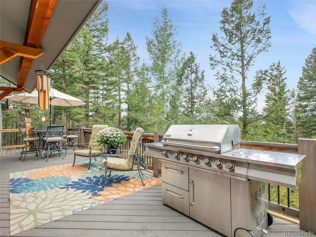 30824 Kings Valley Drive Conifer CO 80433