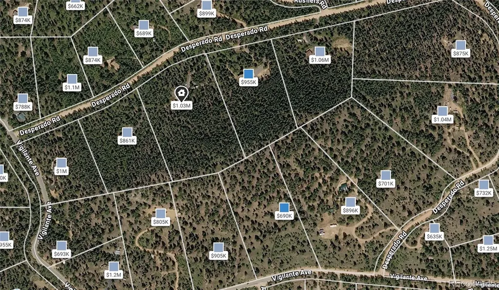 200 Desparado Road Bailey CO 80421