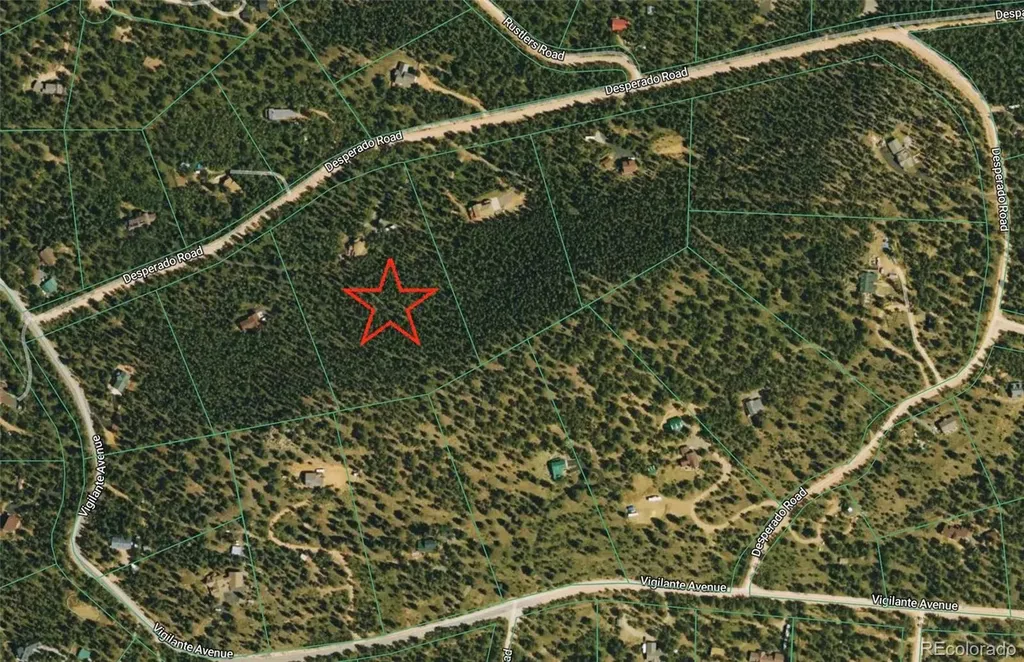 200 Desparado Road Bailey CO 80421