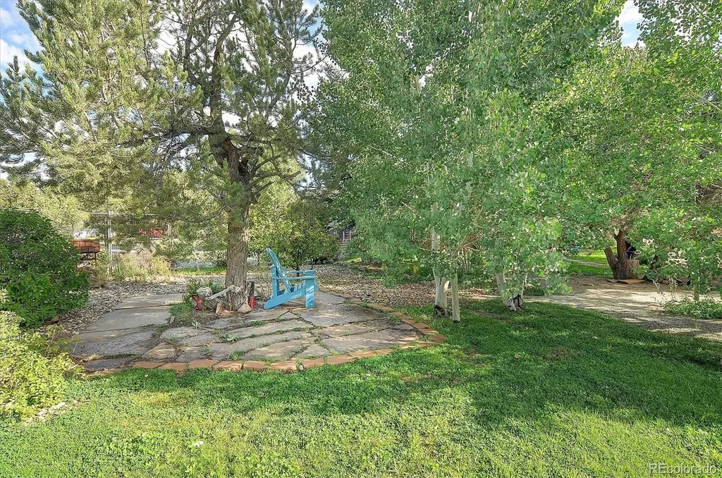 29750 County Road 353 Buena Vista CO 81211