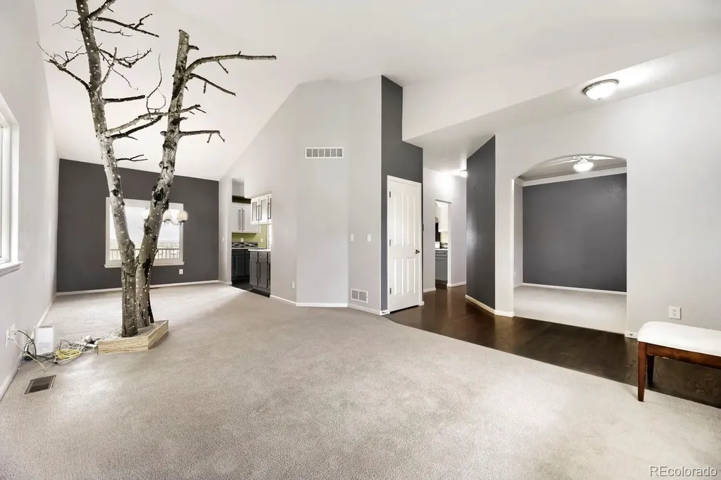 21630 Crestone Needles Drive Parker CO 80138