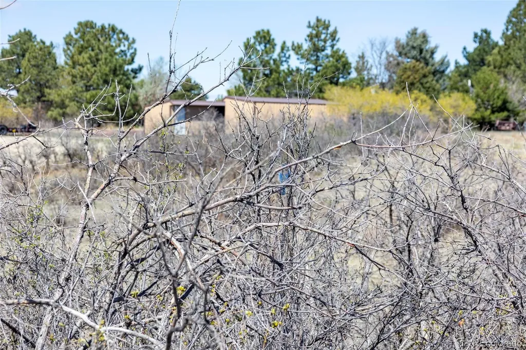 1701 N Rocky View Road Castle Rock CO 80108