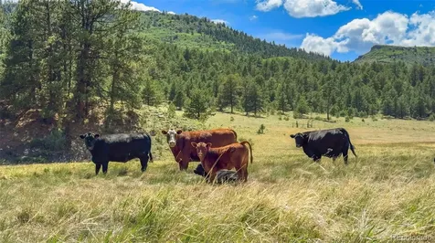 400 Bear Trax Drive Canon City CO 81212