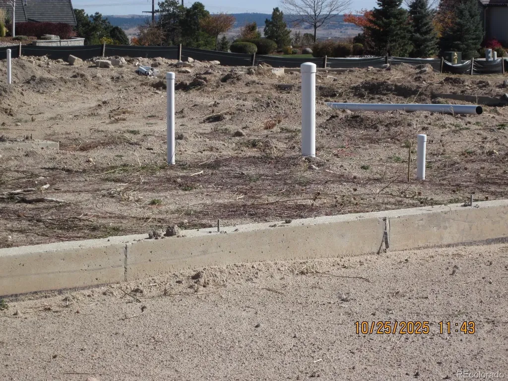 1507 White Fir Terrace Castle Rock CO 80108