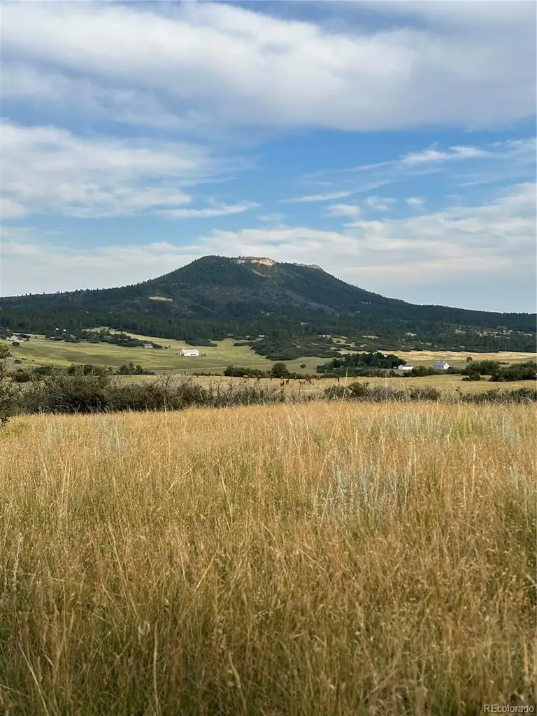 5250 Tall Horse Trail Sedalia CO 80135
