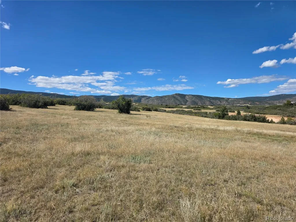 5250 Tall Horse Trail Sedalia CO 80135