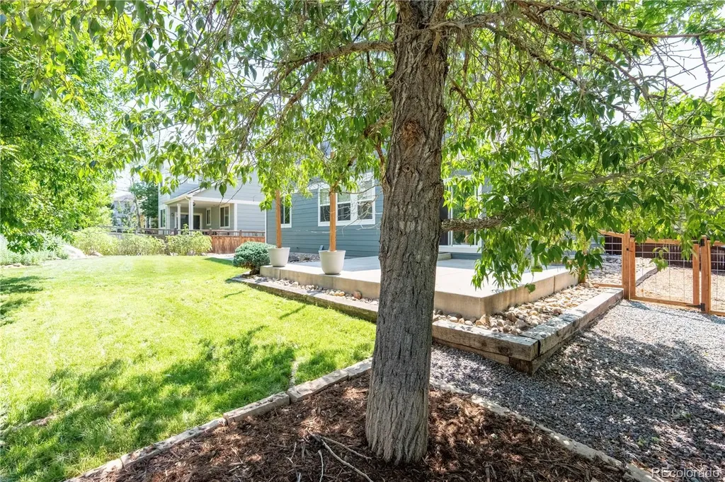 259 Bristlecone Street Brighton CO 80601