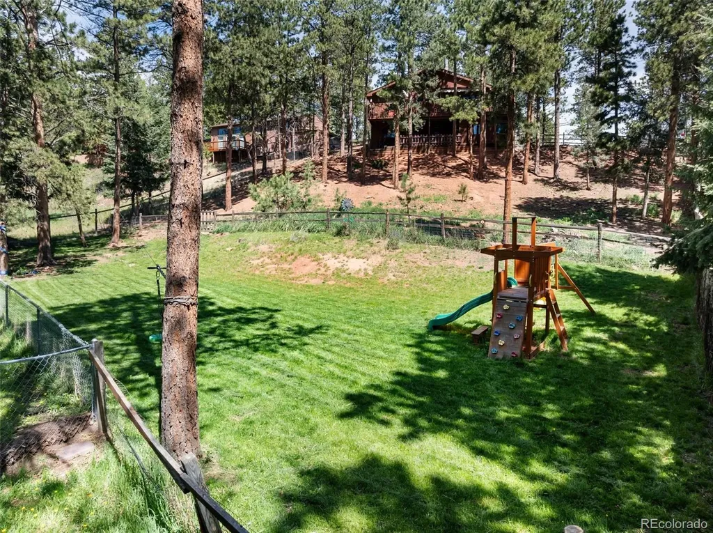 1231 W Midland Avenue Woodland Park CO 80863