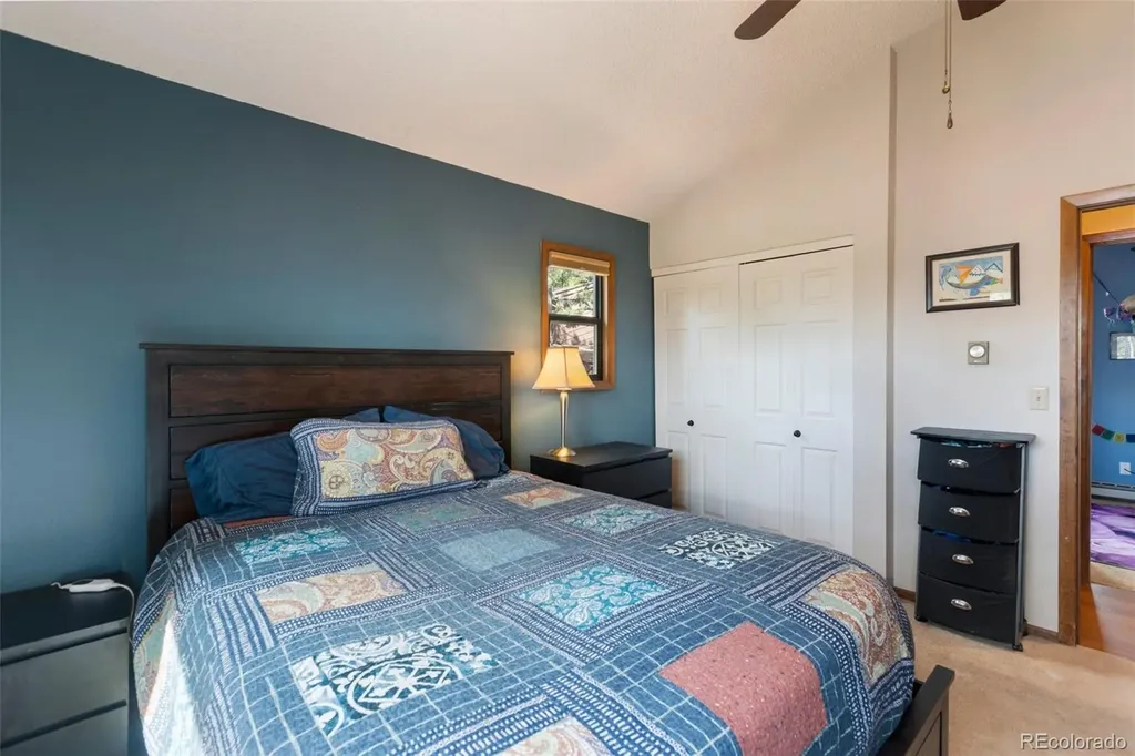 1231 W Midland Avenue Woodland Park CO 80863