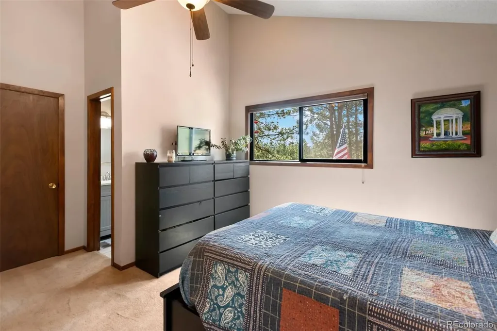 1231 W Midland Avenue Woodland Park CO 80863