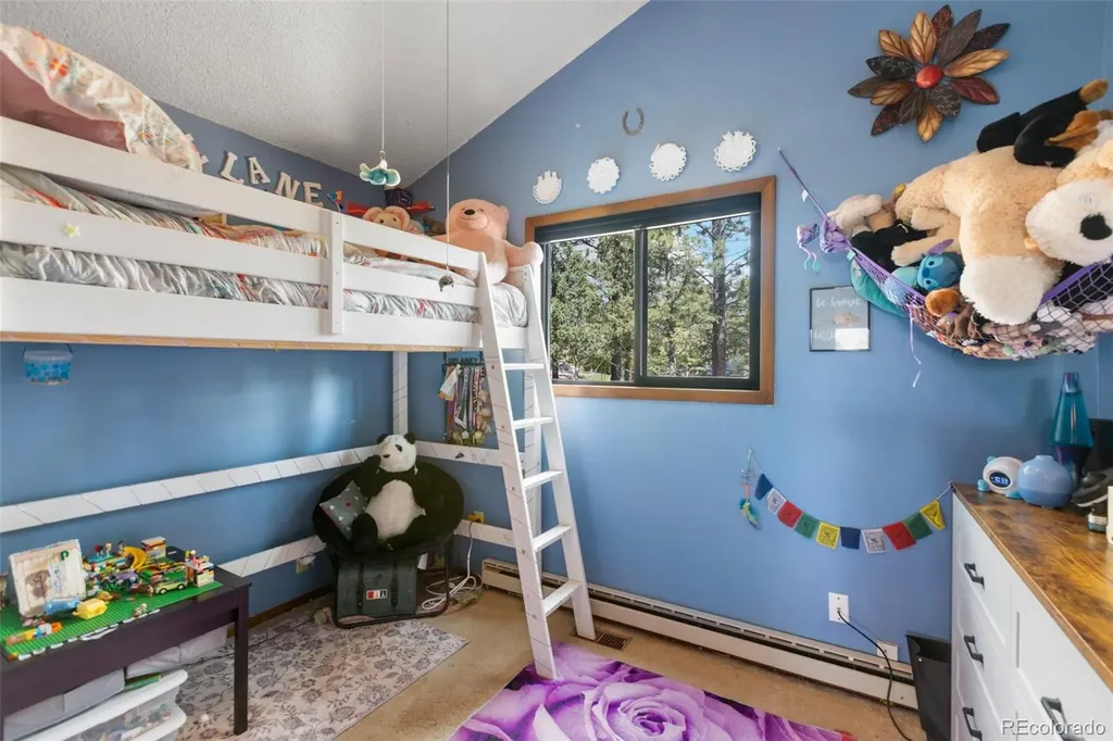 1231 W Midland Avenue Woodland Park CO 80863