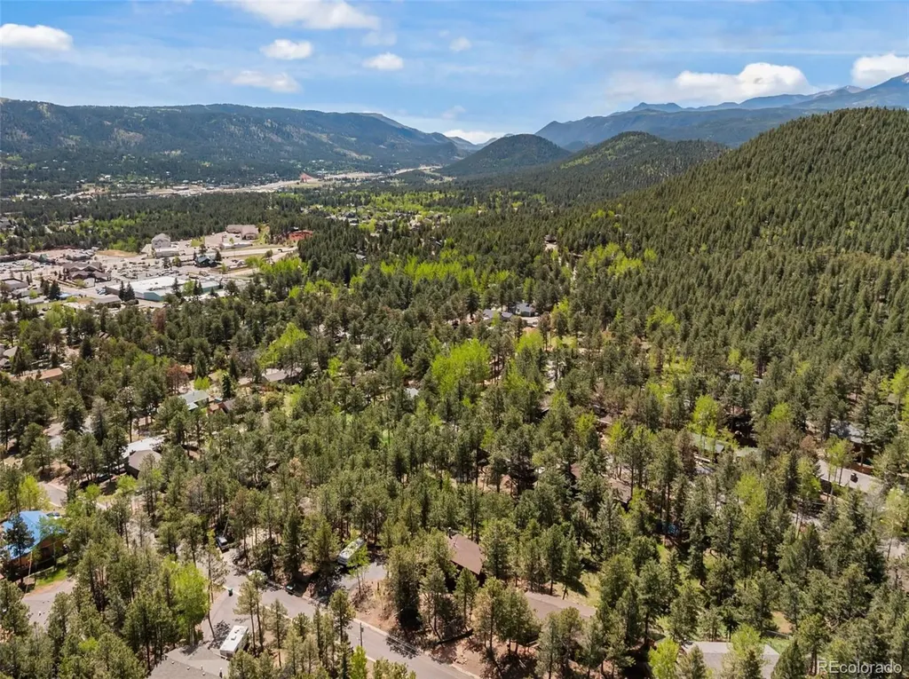1231 W Midland Avenue Woodland Park CO 80863