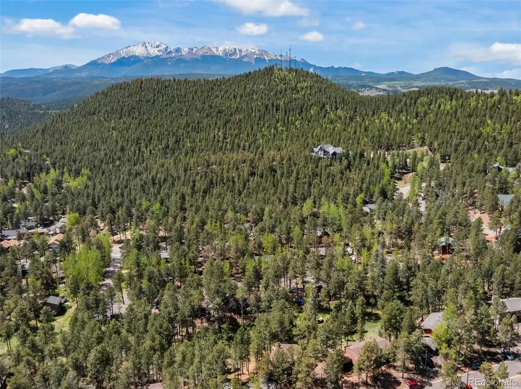 1231 W Midland Avenue Woodland Park CO 80863
