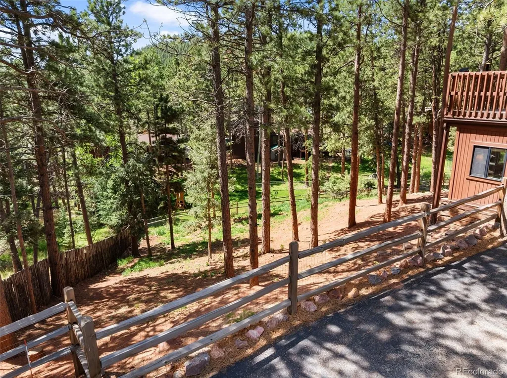 1231 W Midland Avenue Woodland Park CO 80863