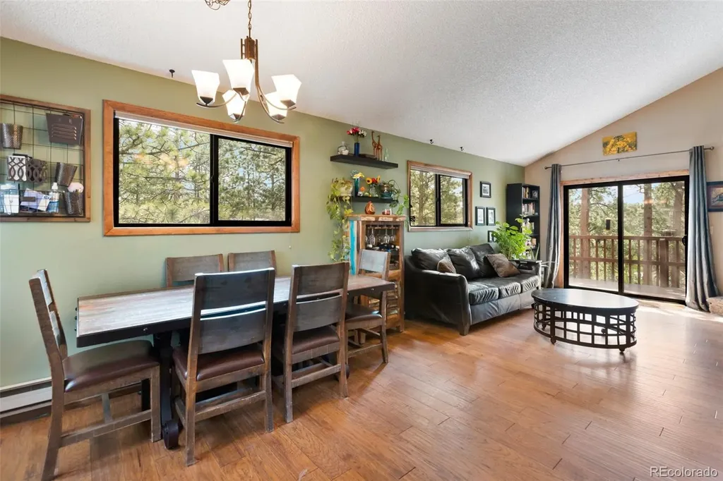 1231 W Midland Avenue Woodland Park CO 80863