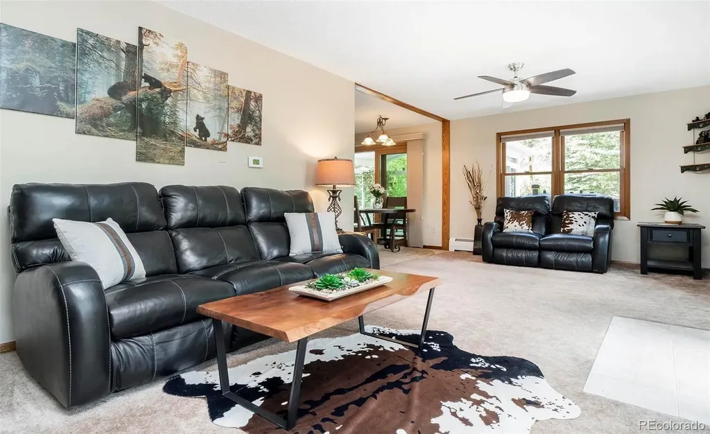 1064 Apex Valley Road Black Hawk CO 80422