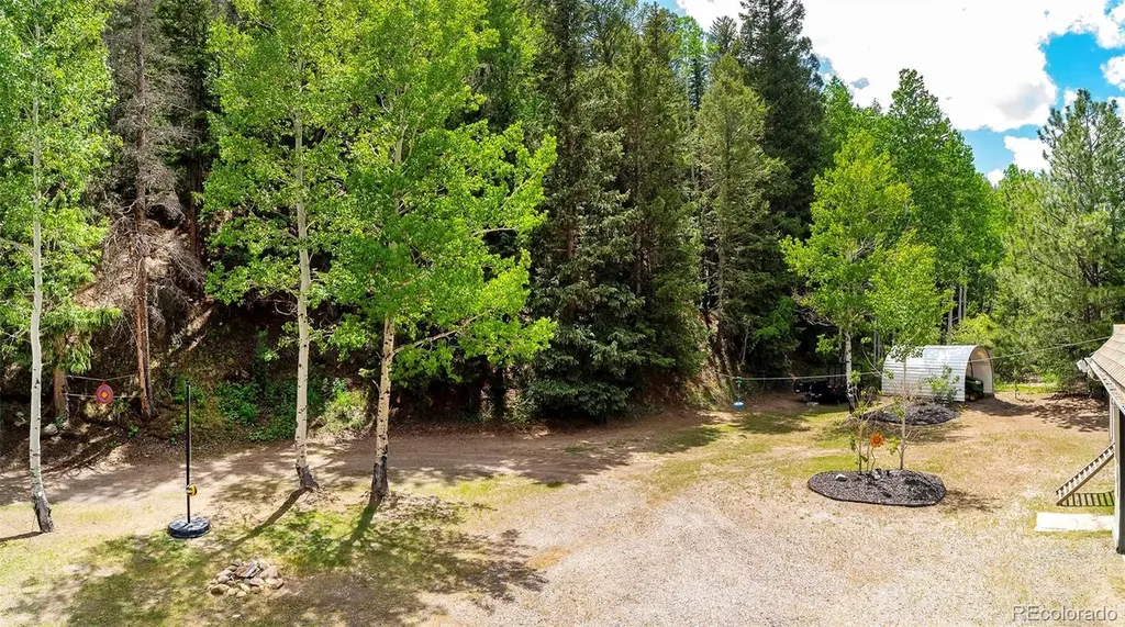 1064 Apex Valley Road Black Hawk CO 80422