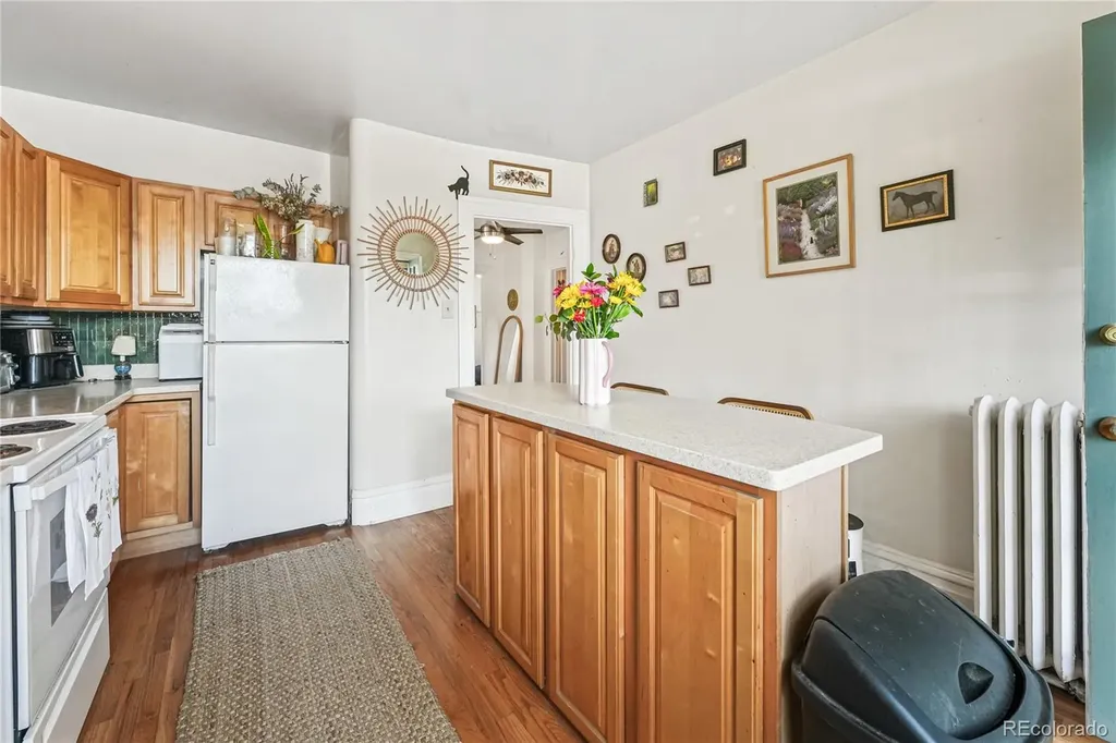 1243 N Marion Street Denver CO 80218