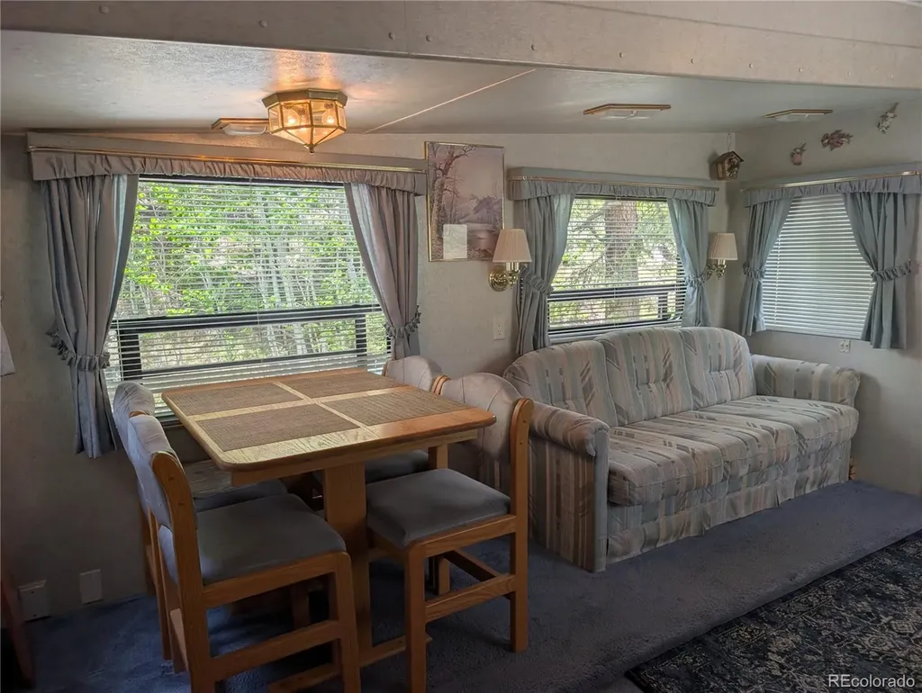 643 Depot Drive Hartsel CO 80449
